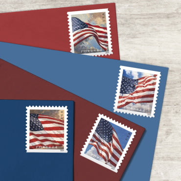 2024 š„Roll Of 100 Pcs
