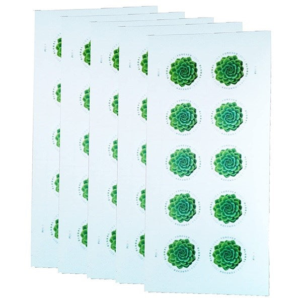 2017 🔥5 Booklets/100 Pcs