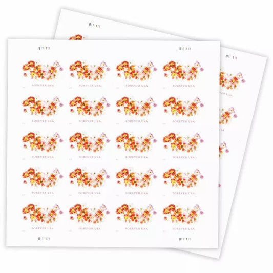 2022 🔥5 Booklets/100 Pcs