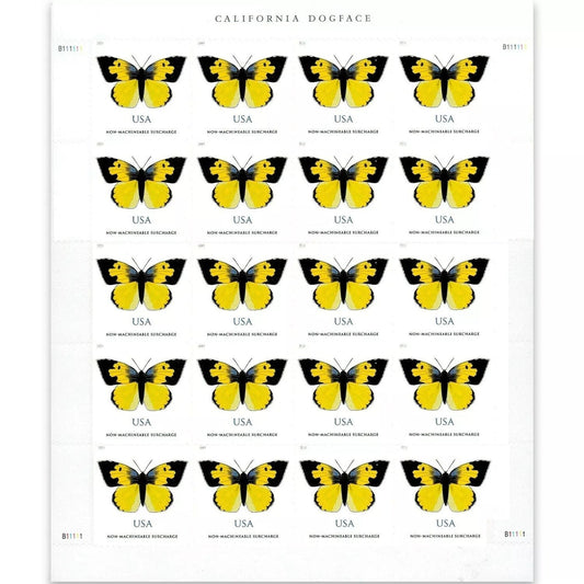 2019 🔥5 Booklets/100 Pcs