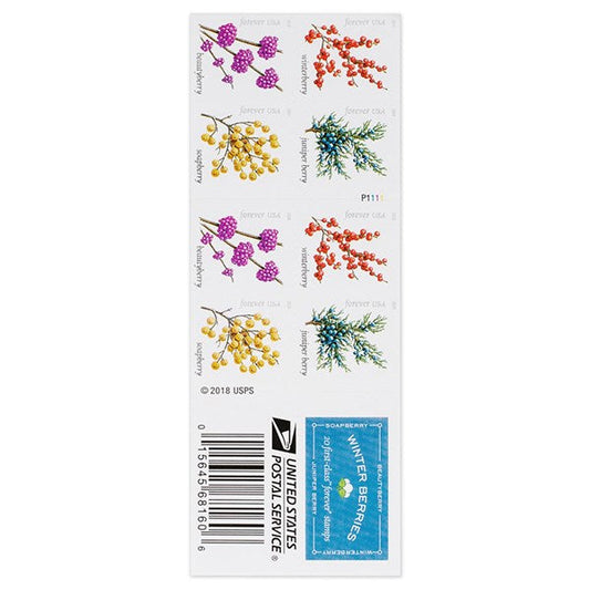 2019 🔥5 Booklets/100 Pcs