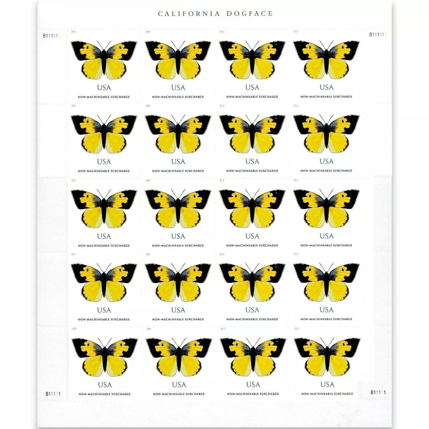 2019 🔥5 Booklets/100 Pcs