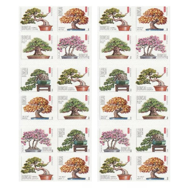 2012 🔥5 Booklets/100 Pcs