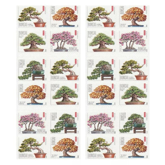 2012 🔥5 Booklets/100 Pcs